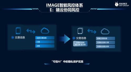 蚂蚁集团顾鸣 人工智能前三十年谈发展 后三十年谈可信