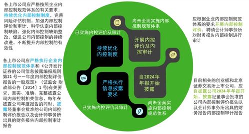 德勤《强化上市公司及拟上市企业内部控制建设 推进内部控制评价和审计的通知》要点解读